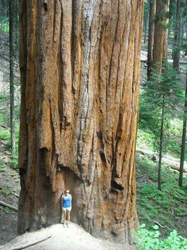 Giant Things (32 pics)