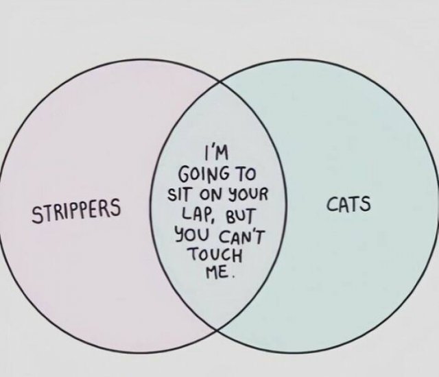 Interesting Diagrams (26 pics)