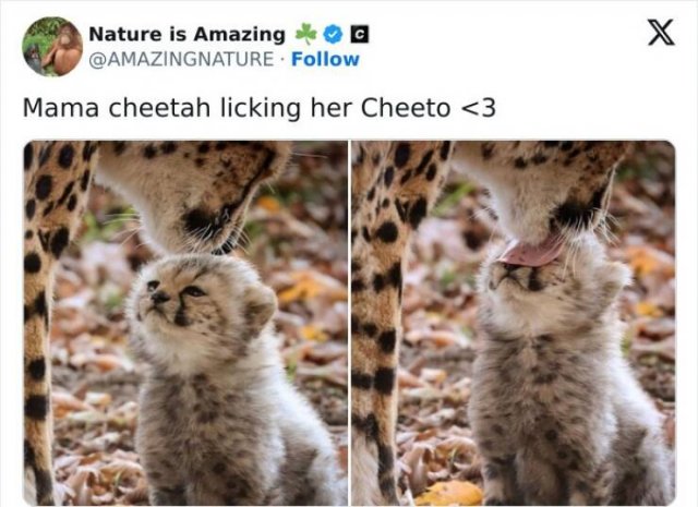 Kind Jokes (24 pics)