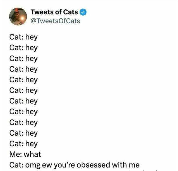 Memes For Cat Lovers (25 pics)
