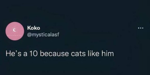 Memes For Cat Lovers (25 pics)