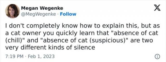 Memes For Cat Lovers (25 pics)