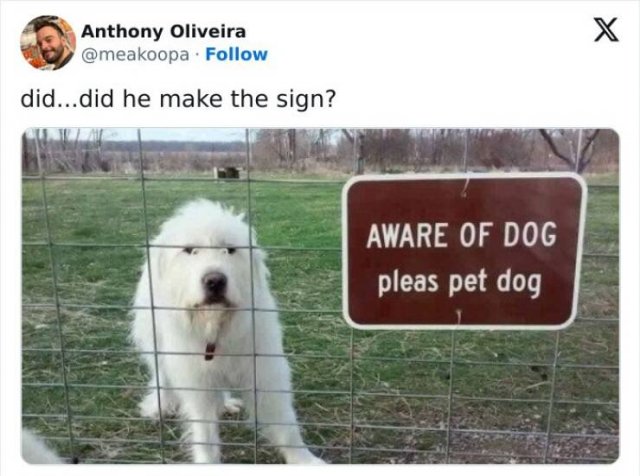 Kind Jokes (24 pics)