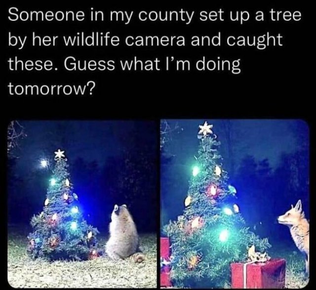 Kind Jokes (24 pics)
