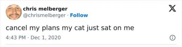 Memes For Cat Lovers (25 pics)