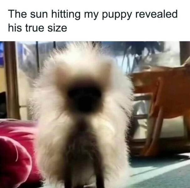 Kind Jokes (24 pics)
