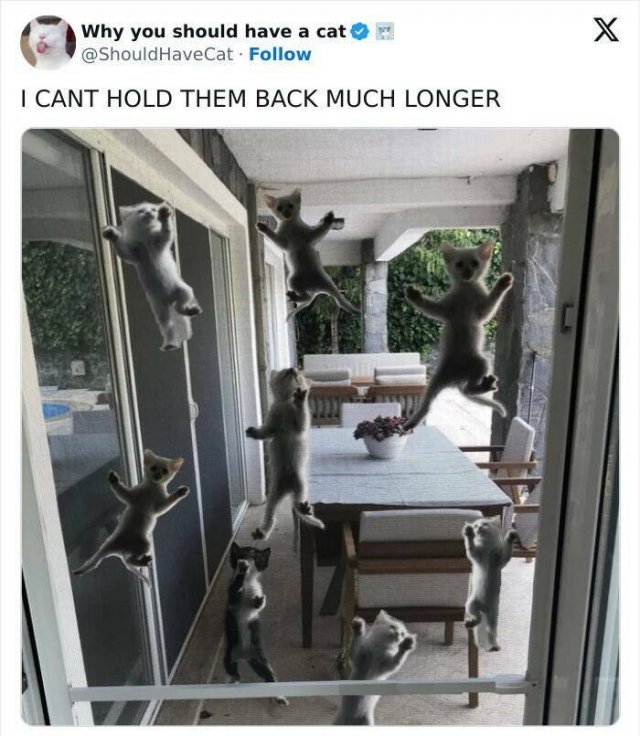 Kind Jokes (24 pics)