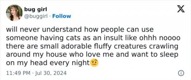 Memes For Cat Lovers (25 pics)