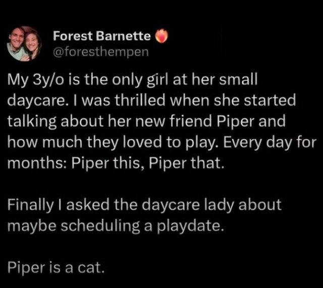 Memes For Cat Lovers (25 pics)