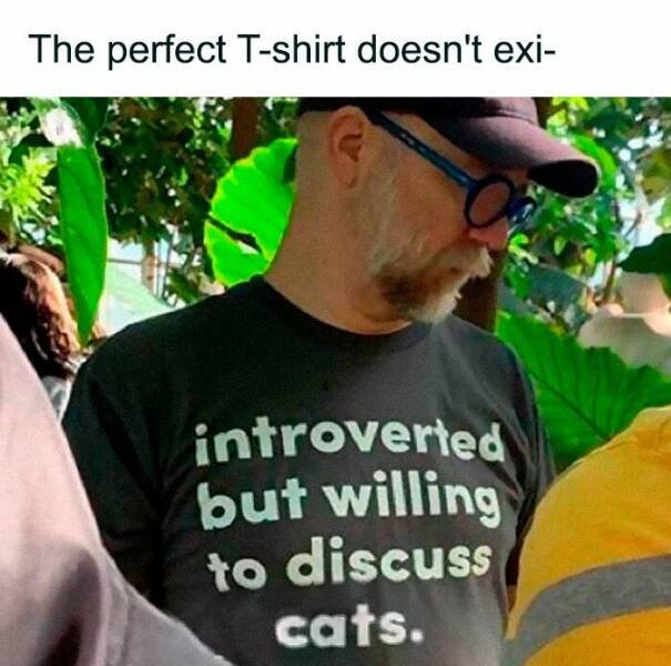 Memes For Cat Lovers (25 pics)