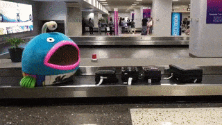 Odd Thoughts (15 gifs) Odd Thoughts (15 gifs)