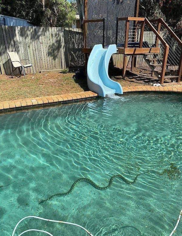 What Is Going On Here? (25 pics)