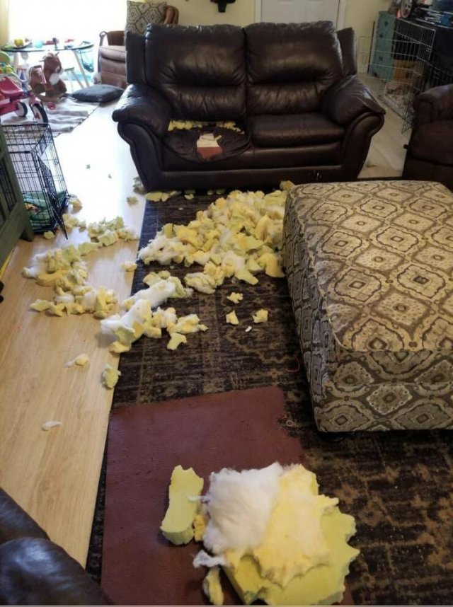 Funny Fails (19 pics)