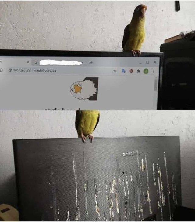 Funny Fails (19 pics)