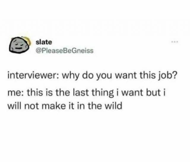 Work Memes (26 pics)