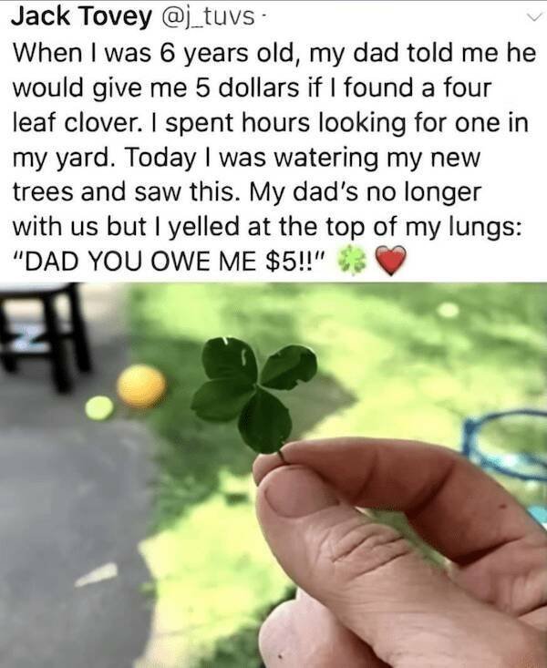 Memes For Married People (23 pics)