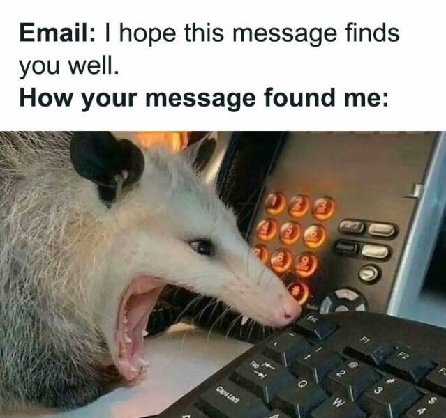 Work Memes (26 pics)