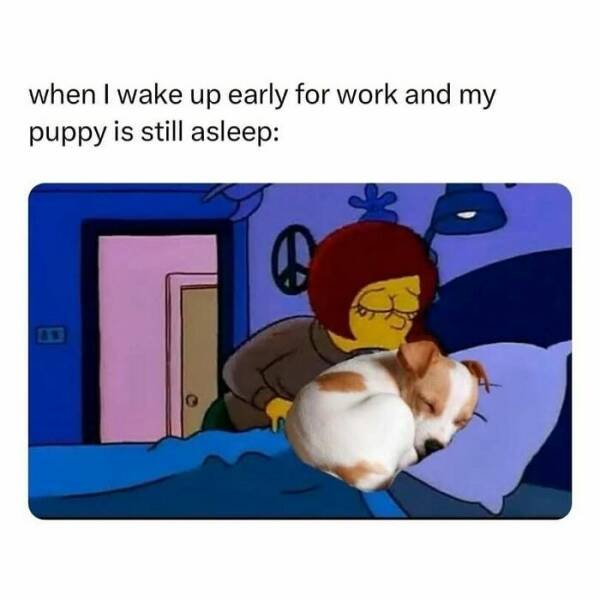 Work Memes (26 pics)