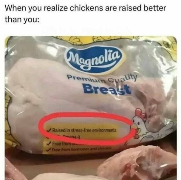 Work Memes (26 pics)