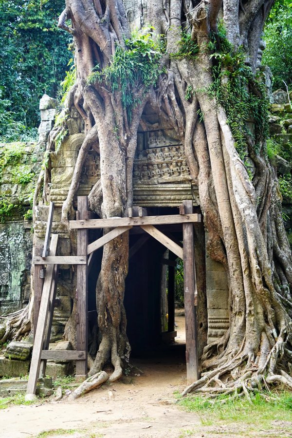 Interesting And Unusual Finds (23 pics)