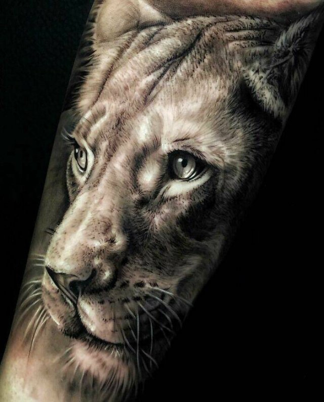 Cool Tattoos (16 pics)