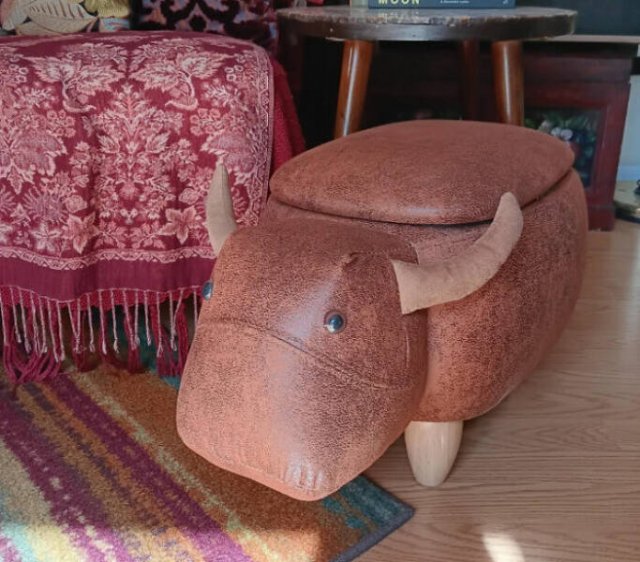 Treasures From Thrift Shops (25 pics)