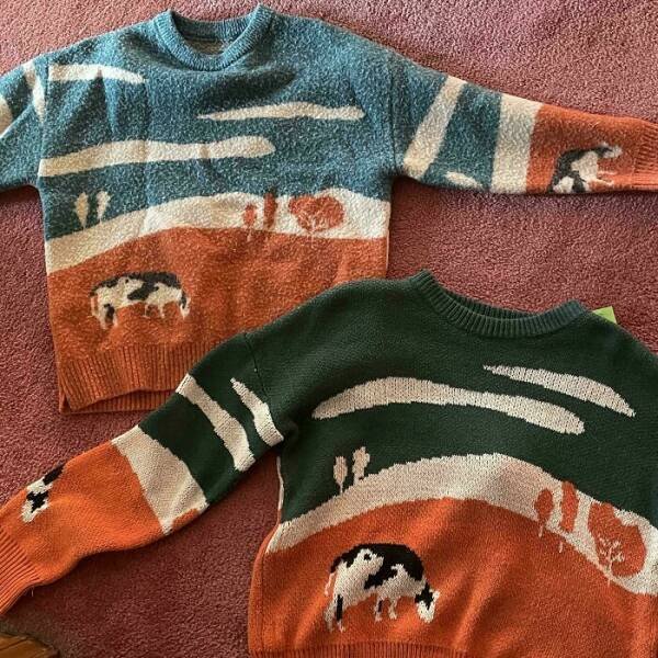 Treasures From Thrift Shops (25 pics)