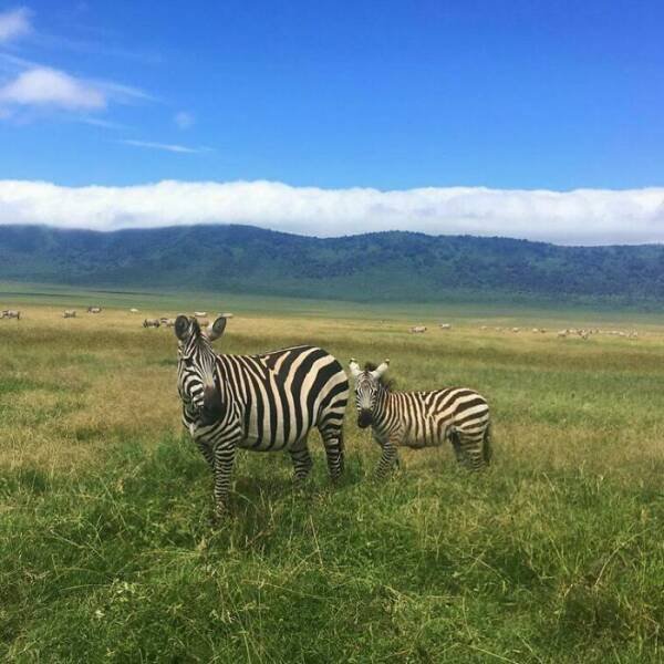 Interesting Finds From Different Countries (25 pics)
