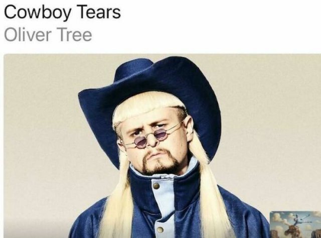 Awful Haircuts (29 pics)