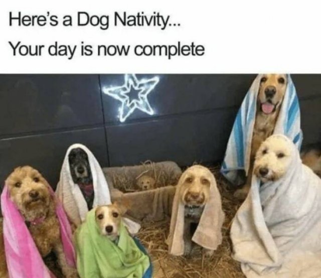 Positive Posts And Photos (23 pics)