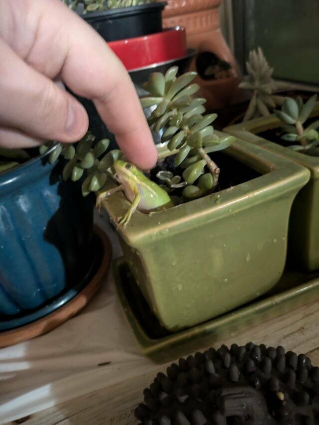 Interesting And Unusual Finds (20 pics)
