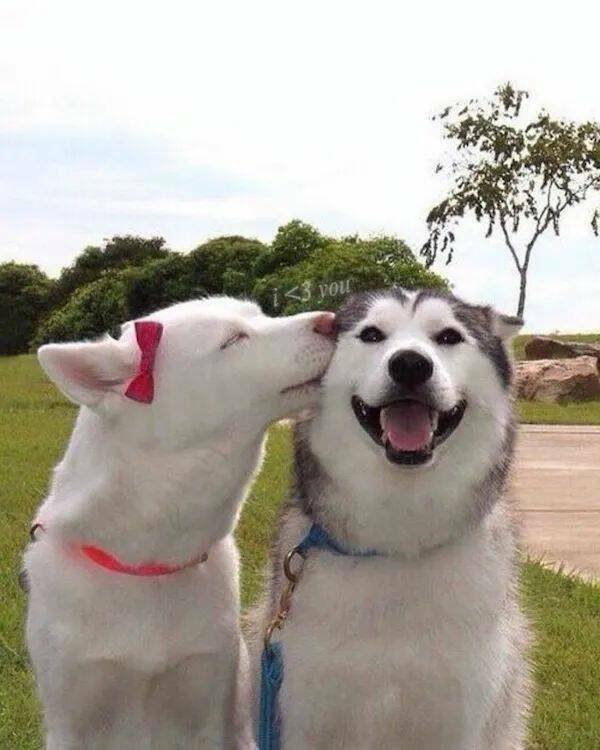 Positive Posts And Photos (23 pics)