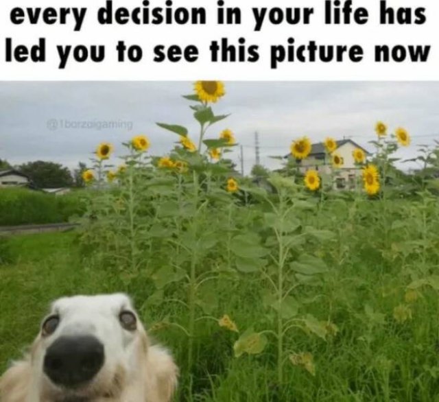 Positive Posts And Photos (23 pics)