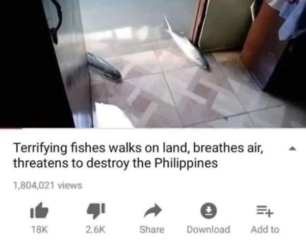 Funny Memes (25 pics)