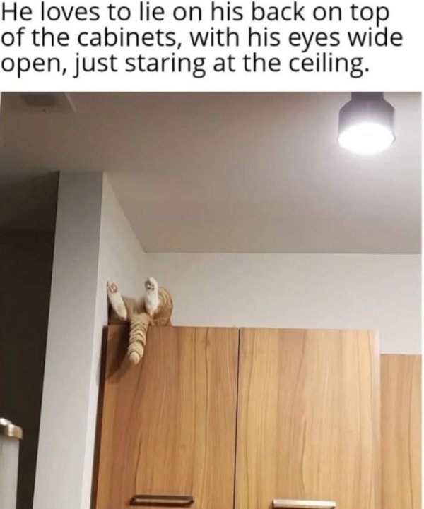 Funny Memes (25 pics)