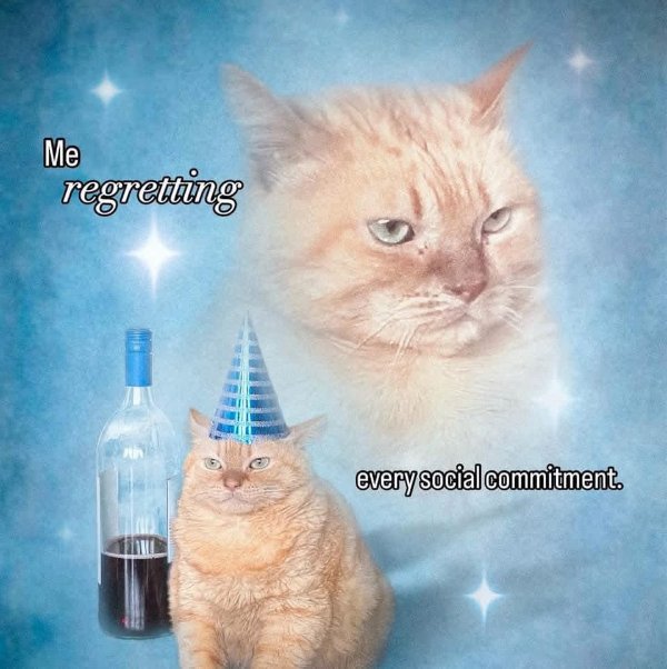Funny Memes (25 pics)