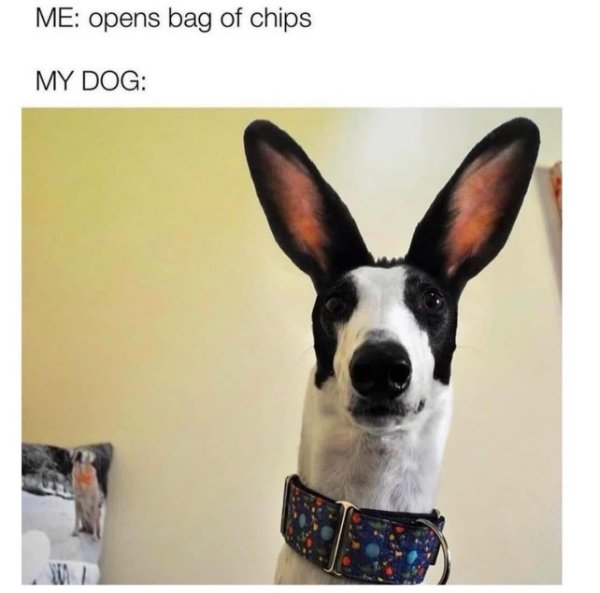 Funny Memes (25 pics)