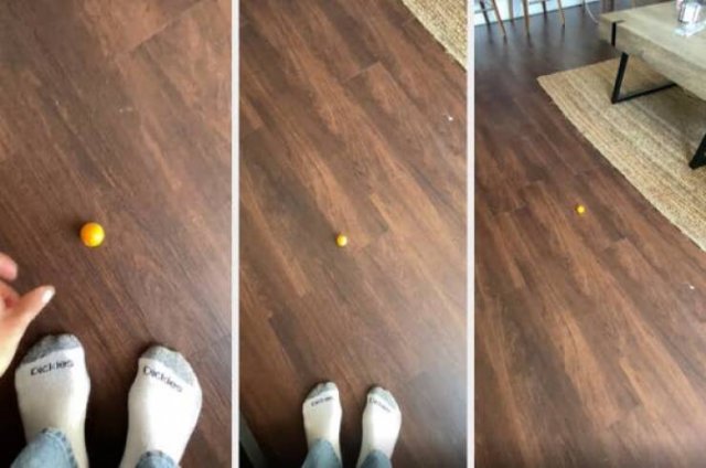 Epic Fails With Real Estate (18 pics)