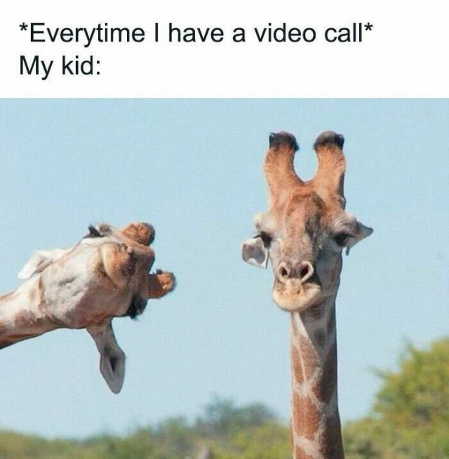 Funny Memes (25 pics)