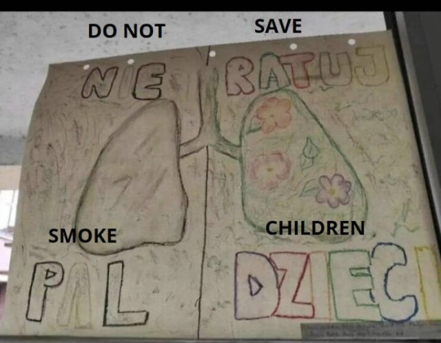 Funny Signs (22 pics)