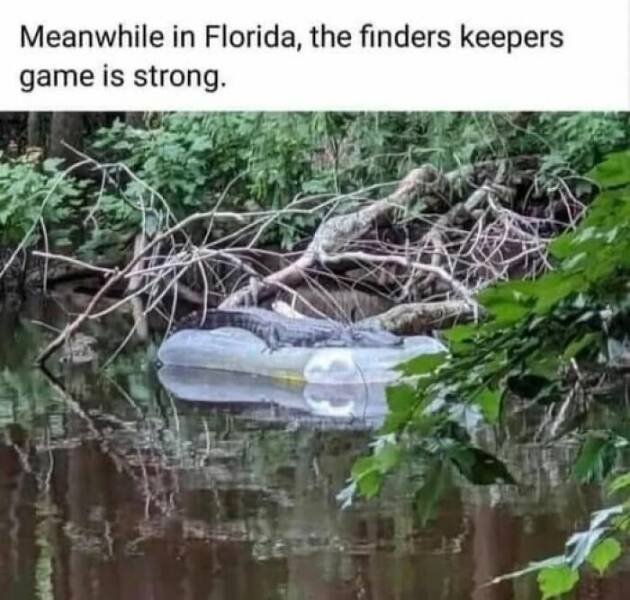 Funny Memes (25 pics)