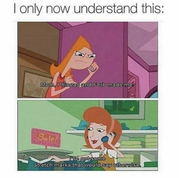 Memes For Cartoon Fans (24 pics)