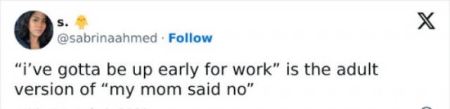Jokes About Adult Life (20 pics)