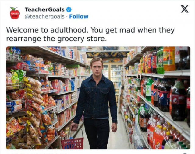 Jokes About Adult Life (20 pics)