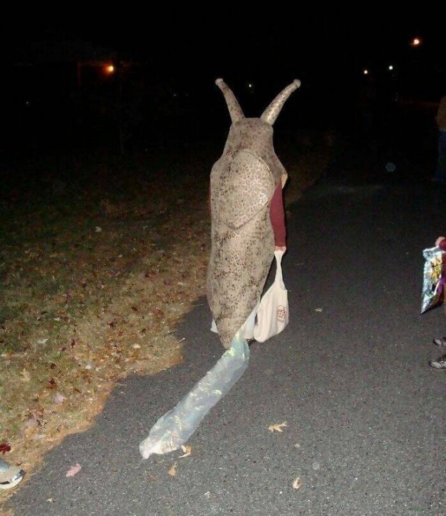 What Is Going On Here? (24 pics)
