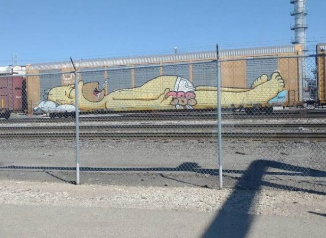What Is Going On Here? (24 pics)