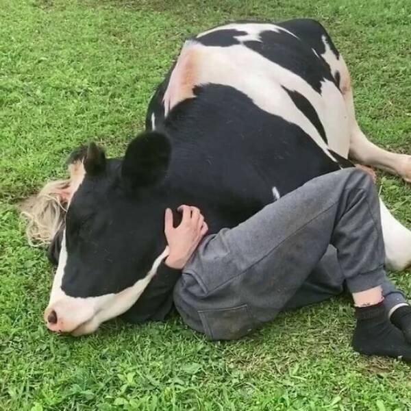 What Is Going On Here? (24 pics)