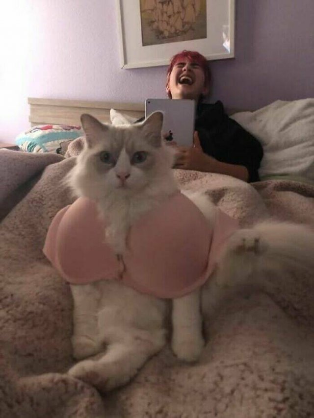 What Is Going On Here? (24 pics)