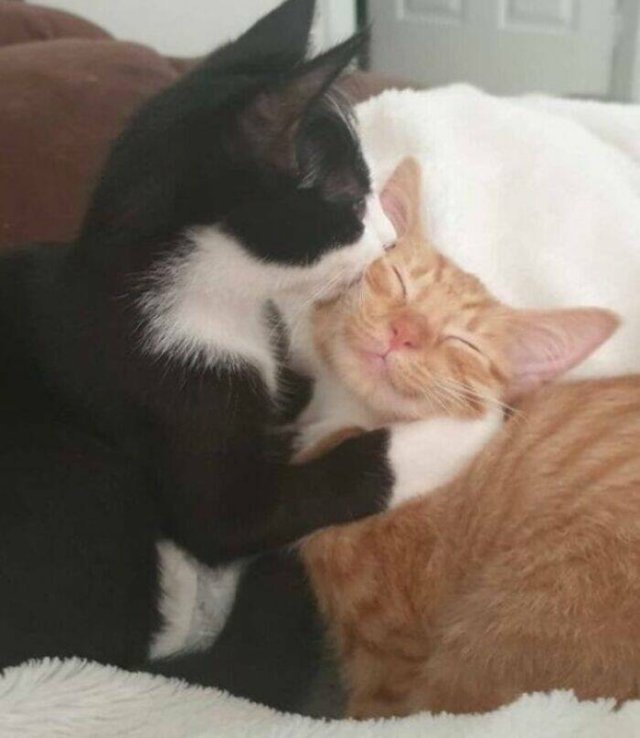 What Is Going On Here? (24 pics)