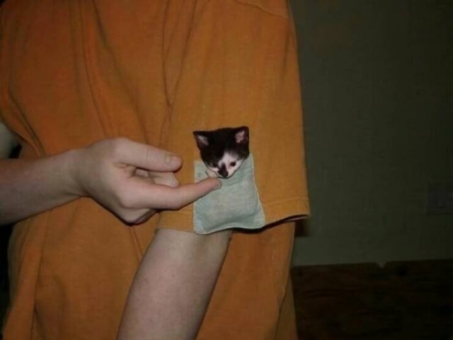 What Is Going On Here? (24 pics)
